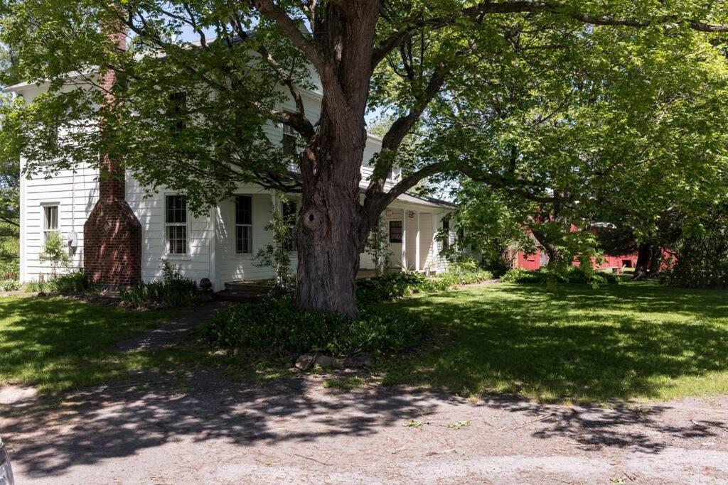 King Hill Cottage Greenville エクステリア 写真